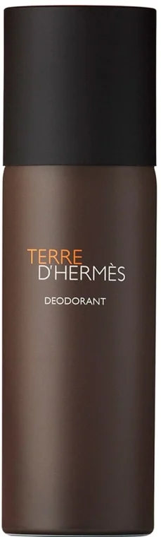 Hermes Terre dHermes