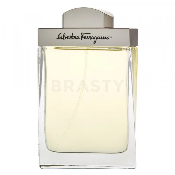 Salvatore Ferragamo Pour Homme EDT M 100 ml