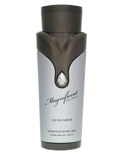 Armaf Magnificent Pour Homme EDP