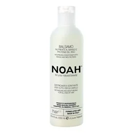 Noah Acondicionador Mango y Proteínas de Arroz Hair 2.1 250ml