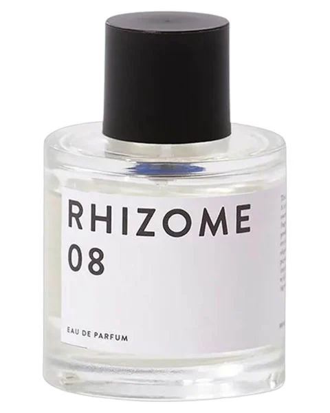 Rhizome 08 EDP