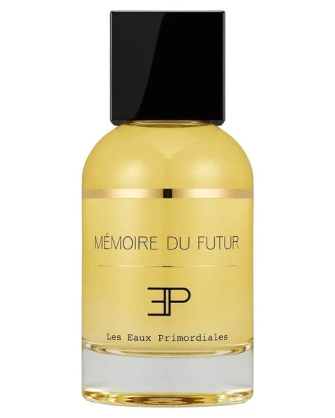 Les Eaux Primordiales Mémoire du Futur EDP