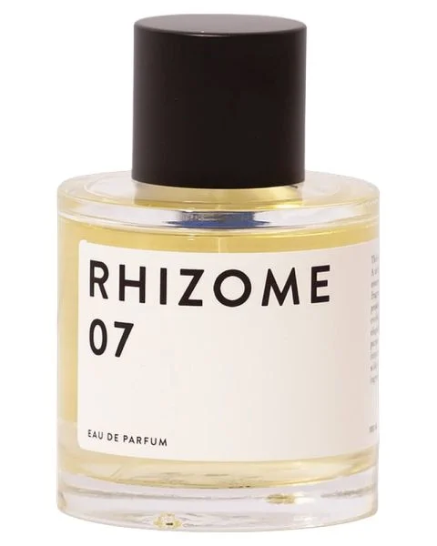 Rhizome 07 EDP