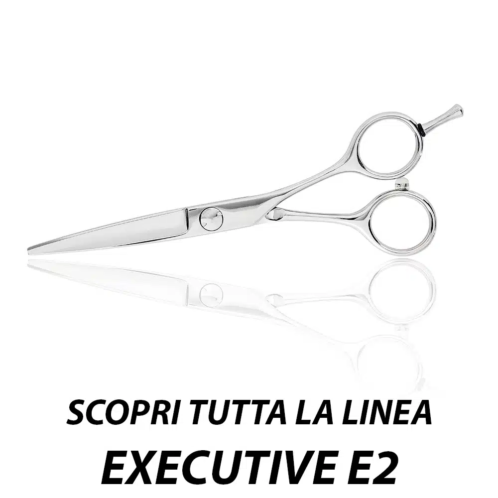 FORBICI PER CAPELLI PROFESSIONALI LINEA EXECUTIVE E2