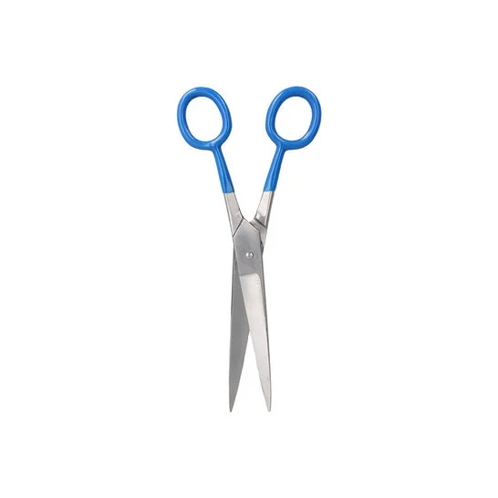 Zainesh Forbici Professionali Metallo Argento Blu 7" 1 Unità