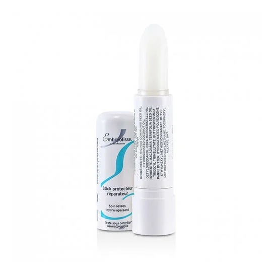 Riparatore di Embryolisse 4g Stick Repairer