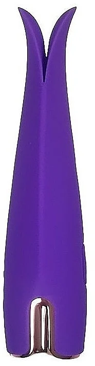 Stimolatore clitoride