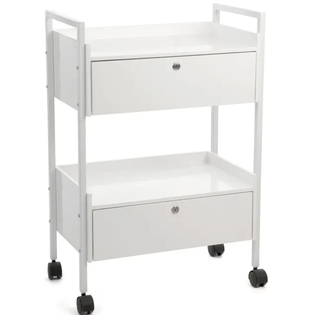 Carrello Estetista Professionale Dotato di 2 Cassetti con Chiave Serratura