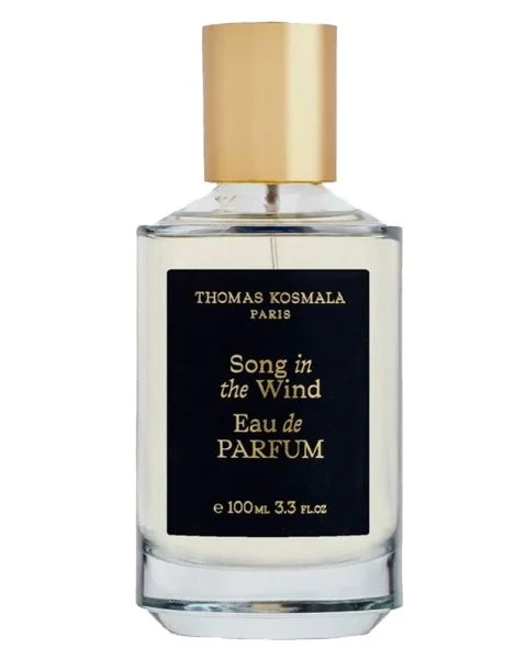 Thomas Kosmala Song In The Wind EDP
