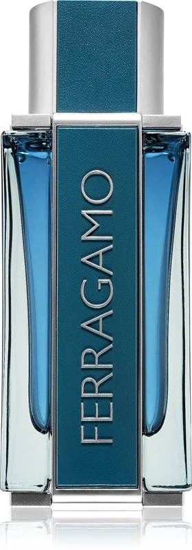 Salvatore Ferragamo Intense Leather EDP M 100 ml