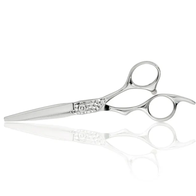 Forbici Parrucchiere Acciaio Speciale Master Professionale con Brillantini Argento