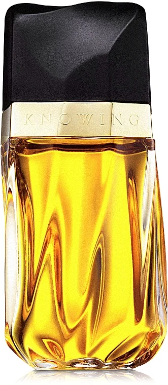 Estee Lauder Knowing