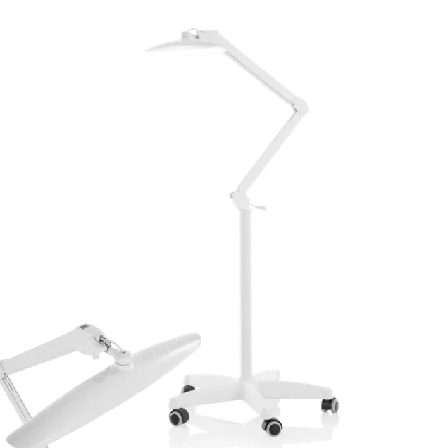 Lampada con Stativo Professionale con 4 Livelli di Luminosità a Led