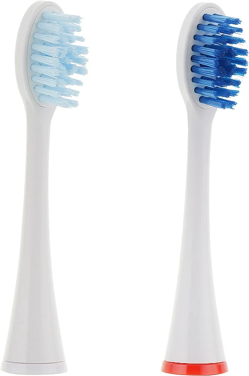 Spazzolino da denti sonico