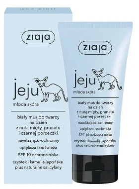 Mousse viso, da giorno