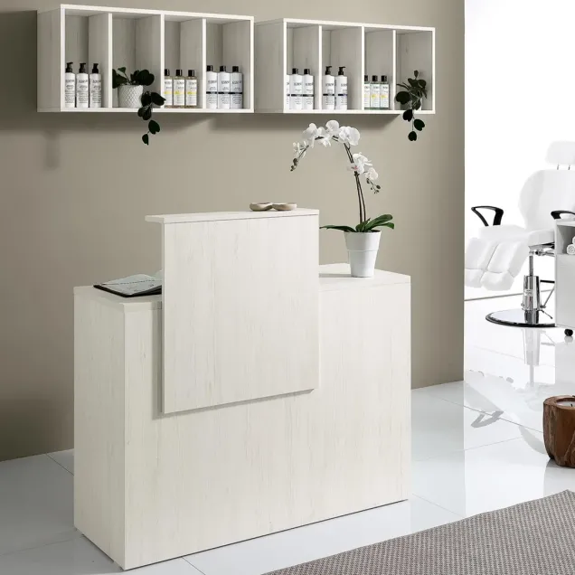 Reception Centro Estetico con Bancone Cassa e 2 Espositori a Parete